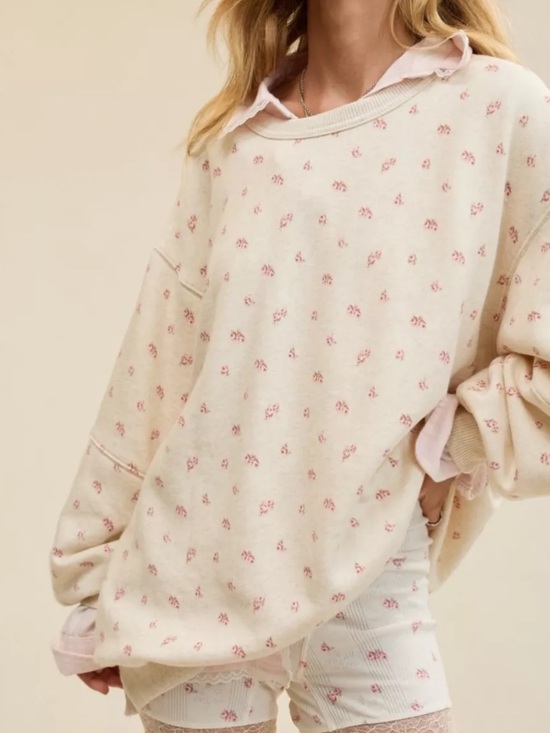 aerie Sweaters - Aerie Cream Floral Print Crew Neck Sweatshirt